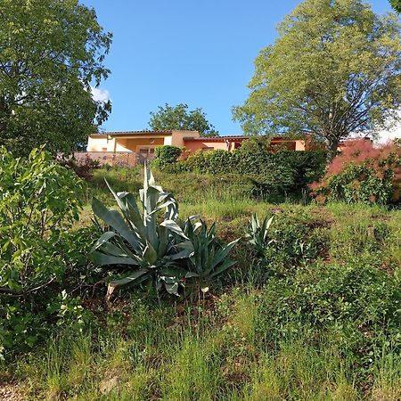 Villa Le Moulin Vallon-Pont-dʼArc Exterior foto